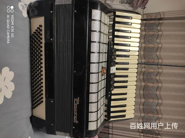 卖老鹦鹉手风琴120贝斯 - 图片