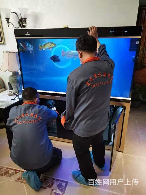 太原鱼缸保洁专业维修鱼缸技术专业