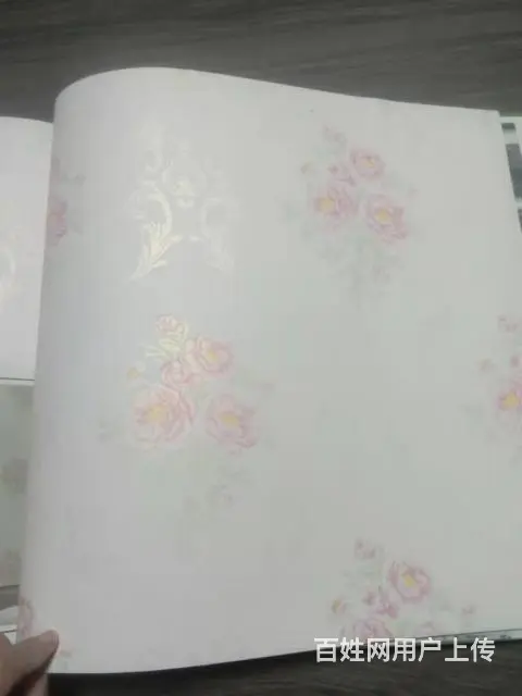 粘贴壁纸壁布壁画 - 图片 1