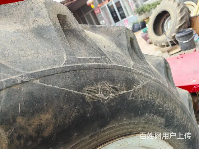 12年沭河1004 - 图片 5