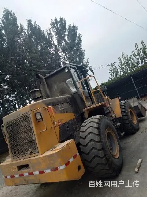 资阳低价转让龙工30，50，临工30(933)柳工50装载九 - 图片 5