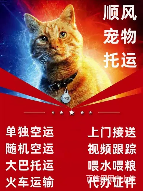 烟台招远宠物托运（猫狗）活体邮寄快递（2022宠物运输 ）今 - 图片 1