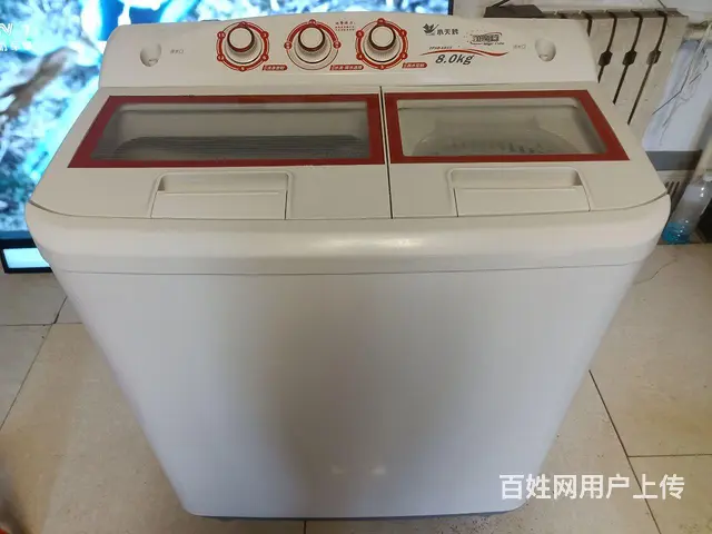 【搞定了！】双缸洗衣机 - 图片 1