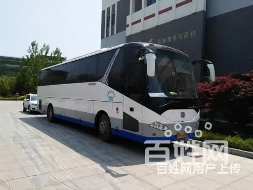 宠物运输/宁波宠物托运（宿州宠物网 - 图片 3