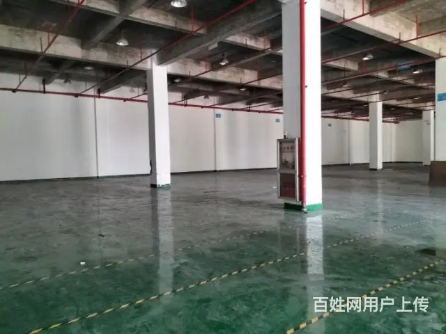 蓬朗独栋丙类厂房出租 - 图片