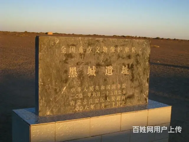 额济纳旗旅游包车 - 图片 10