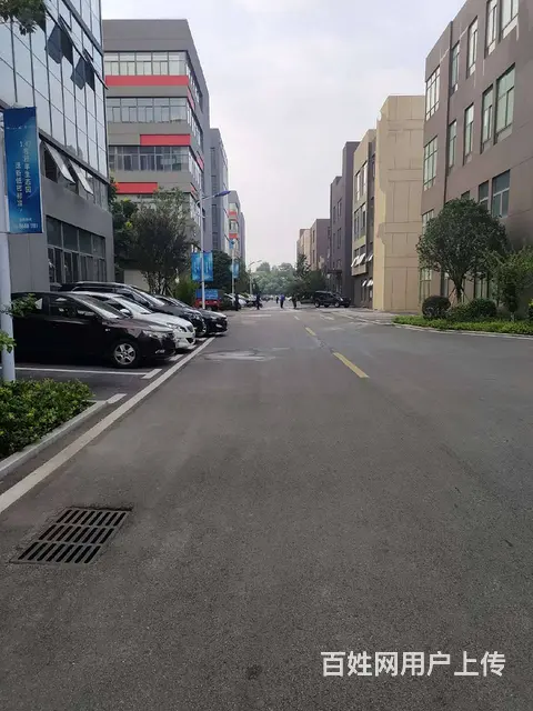 独栋精装修办公楼 研发楼 - 图片 7