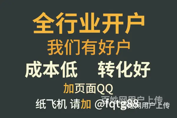 海外*tiktok做什么推广效果好网盟广告平台 - 图片 3
