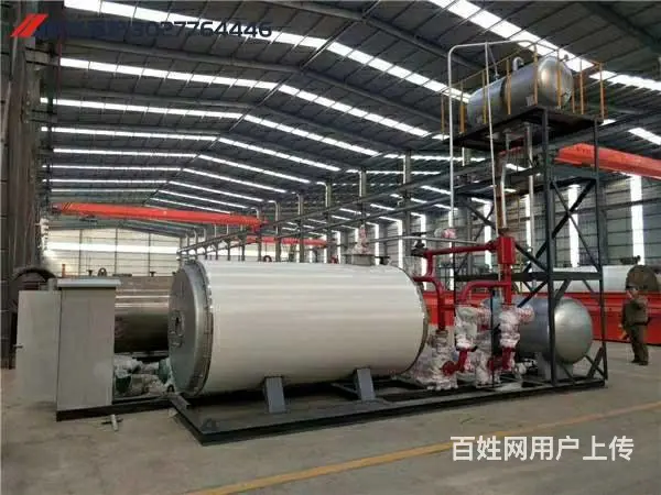 1吨生物质颗粒导热油锅炉厂 - 图片 1