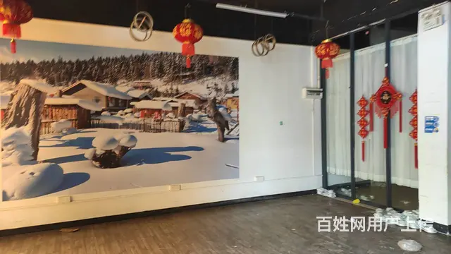 高栏港旺铺招租南水镇南水商业街 - 图片 3