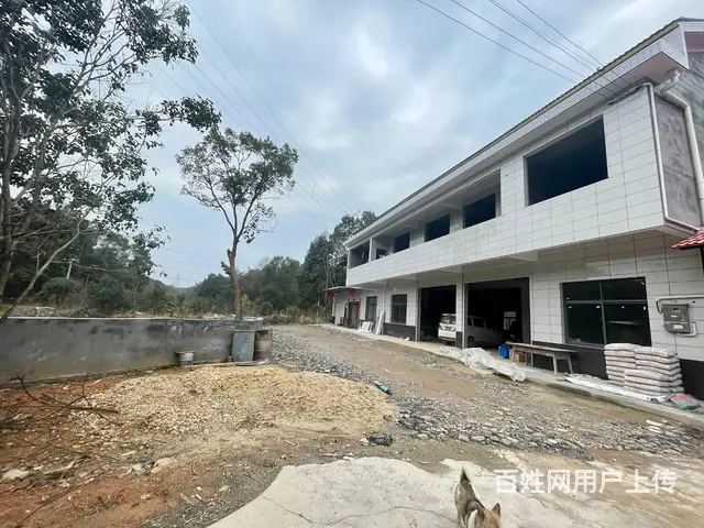 （老板本人）安沙镇东八线旁独栋房屋仓库出租  6096 - 图片 3
