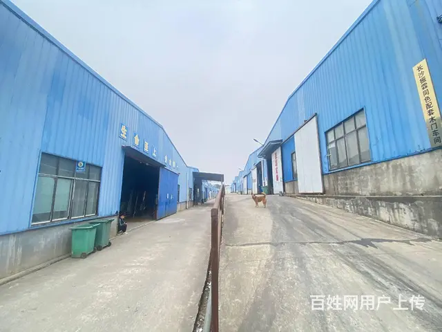浏阳开元路家具城旁钢结构1千,2千,3千,4千平园区厂房招租 - 图片 8