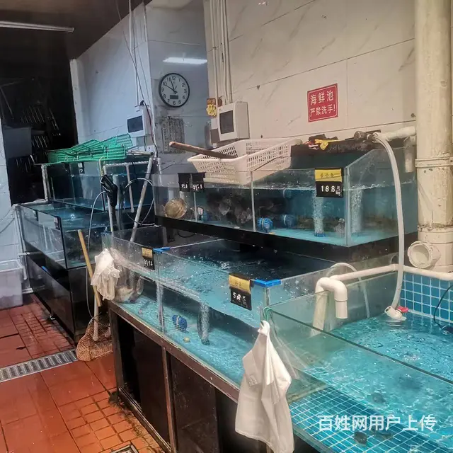个人）商圈急转运达中央广场生鲜水果店优价转让编号1057 - 图片 10