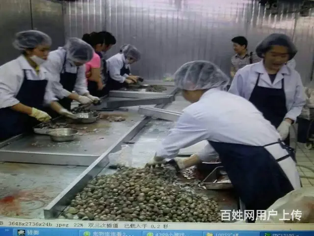 长期招收赴新加坡劳务人员 - 图片 4