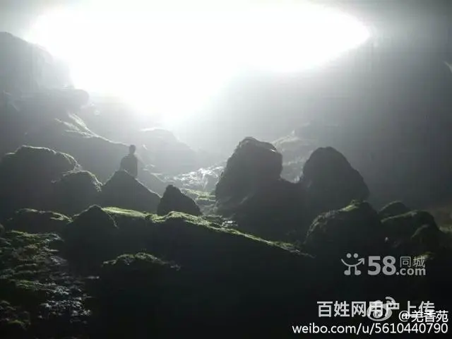 避暑圣地天然氧吧 - 图片 1