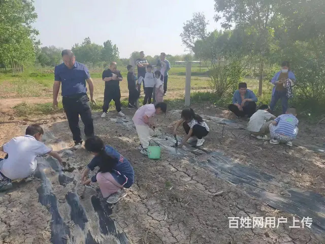 休闲农场 - 图片 3