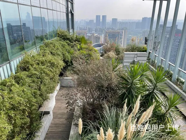 大象国际中心，精装出租300至5500方，部分户型带小露台！ - 图片 4
