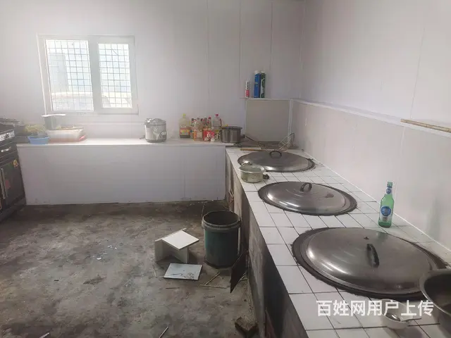 红旗林场主道边小院急卖 - 图片 12
