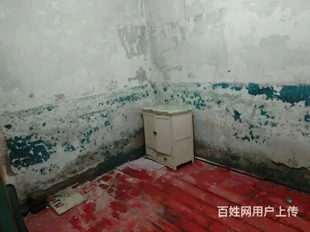 房主个人  发布出租长春市宽城区利国街双利胡同地房 - 图片 4