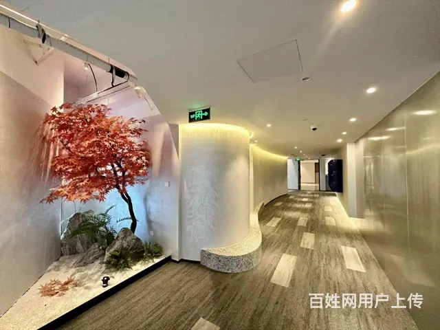 实拍半层豪华装修，地铁400米，品质大楼，接待办公无忧 - 图片 10