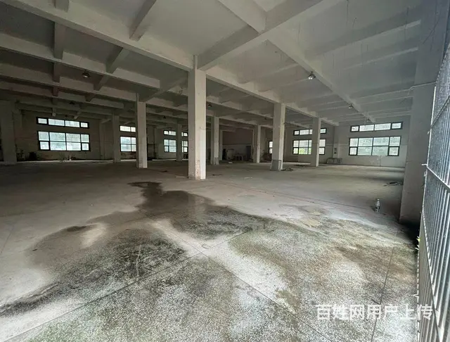 横琴独门独院厂房招租 空地1.7万平米 花园空地免 - 图片 5