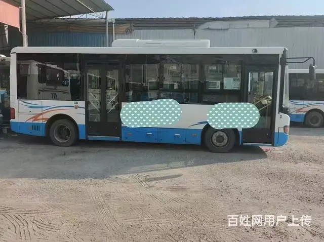 纯电动 苏州金龙8米 公交车 - 图片 6