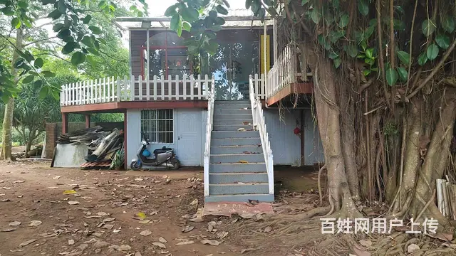 秀英区土地出租，分租，水电齐全，交通便利 - 图片 2