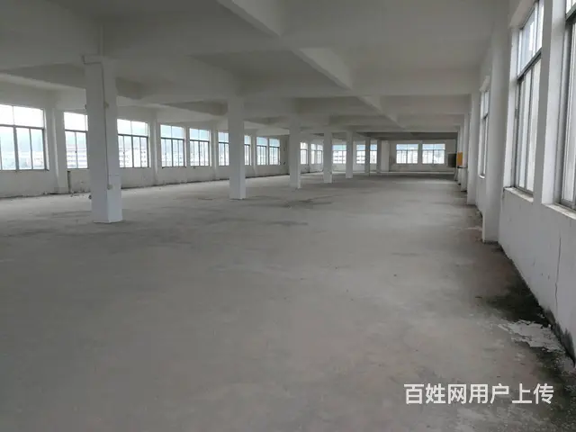 斗门珠峰大道旁全新厂房出租 - 图片 2