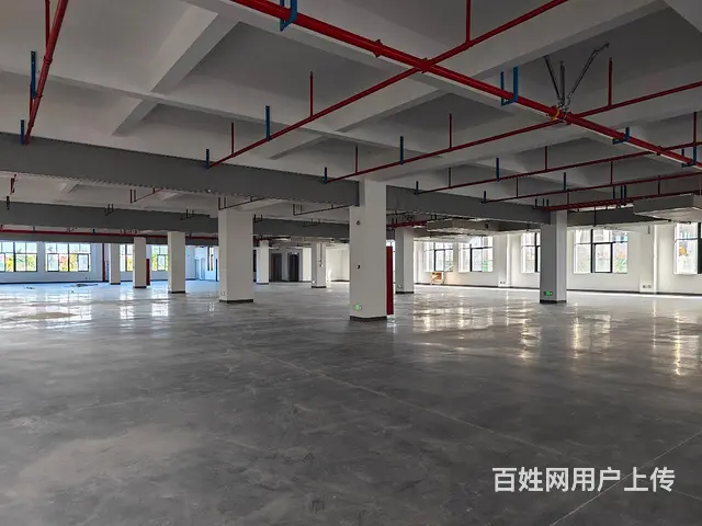 出租晋江英林12000方服装厂房价格优惠政府园区 - 图片 3