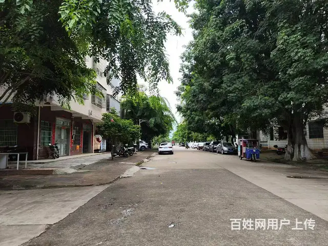 （51旺铺推荐）美兰区桂林洋中学附近100平铺面出租 - 图片 4
