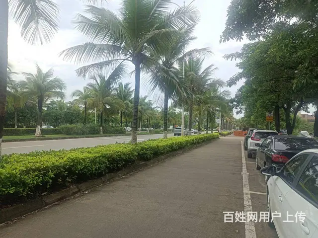 （51旺铺推荐）长滨路260平带外摆区大排档转让 - 图片 7