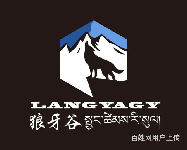青海民和县哪里可以设计logo？青海乐舟专业设计 - 图片 3