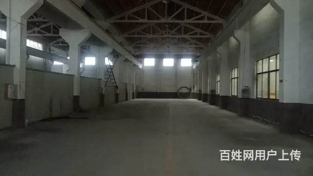 武进遥观独门独户单层车间576平方高度8.5米可架行车 - 图片 3