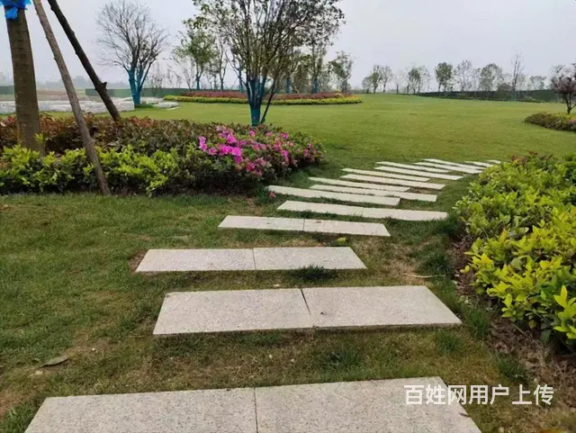 真急卖，苏宁悦城单价6900买93平正规三室8楼全天采光 - 图片 12