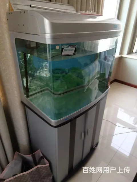 佳宝水族箱63x39x45㎝，还有六条孔雀鱼 - 图片