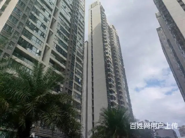 海德路商圈    星华海德豪庭3房毛坯房 - 图片 11