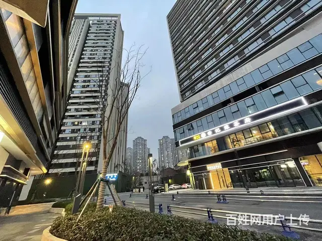 XN 龙泉大面商业街 商铺不限行业 房东直租 - 图片 3