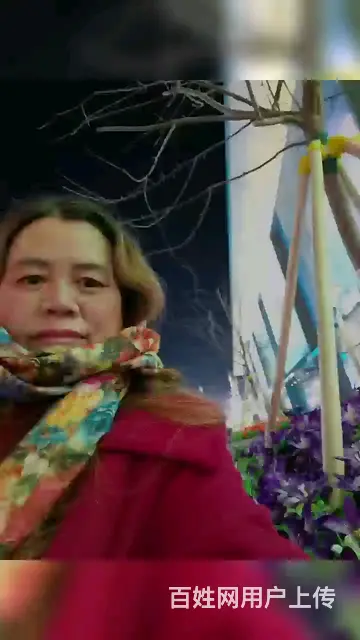 寻找真爱，不离不弃 - 图片 3