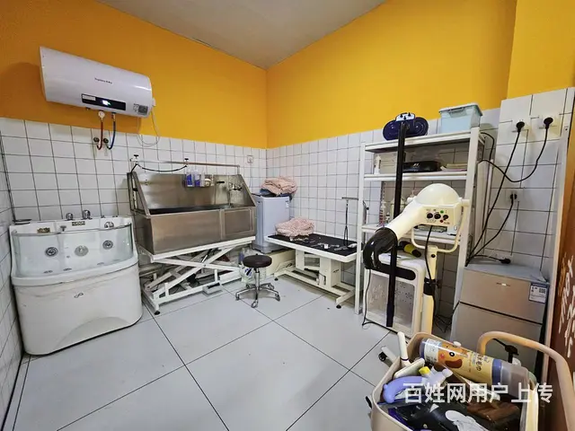 王府井宠物店出兑 商场内店铺出兑 - 图片 8