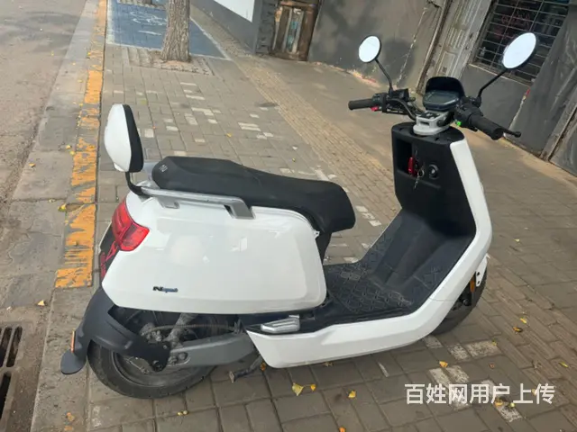 出售小牛 - 图片 2