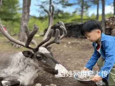 呼伦贝尔满洲里满洲里包车师傅满洲里旅游租车师傅价格满洲里包车 - 图片 3