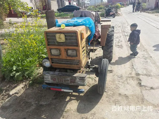 东方红 - 图片 1