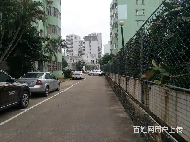 国贸万绿园对面      龙珠新城3房 - 图片 7