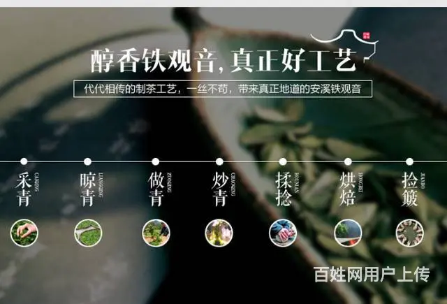 茶农自产自销正宗好茶物价廉美支持货到满意付款 - 图片 12