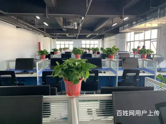 淮南写字楼办公室，面积大小都有，交通便利，环境优美！ - 图片 6