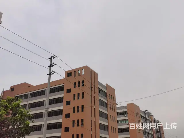珠海唐家金鼎建筑19500平方独院厂房仅售6800 - 图片 2