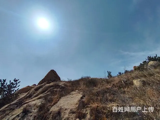 提供泰安临床陪护服务 - 图片