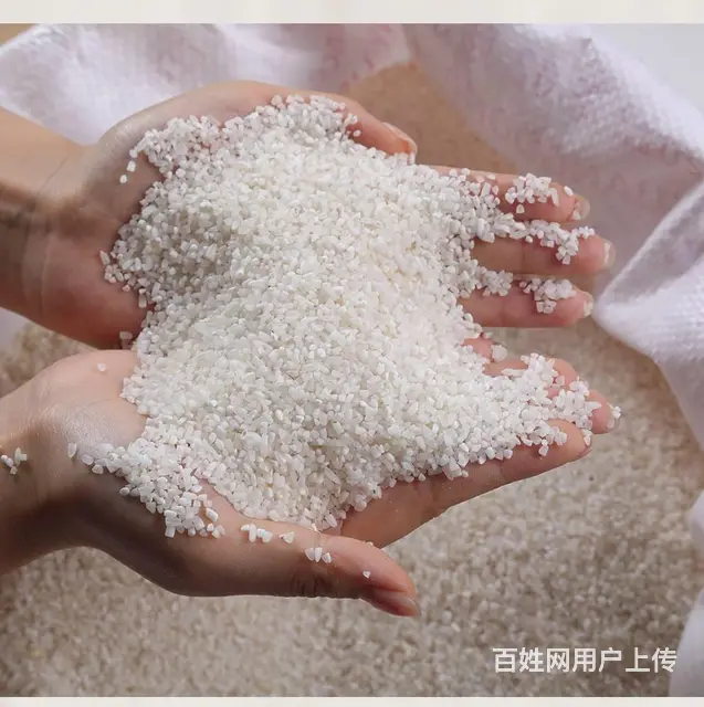 缅甸碎大米酿酒熬粥饲料五谷杂粮食品加工厂原料碎米 - 图片 1