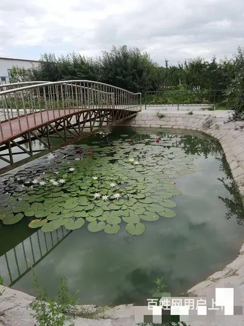 阿城区舍利街厂房别墅出售 - 图片 5
