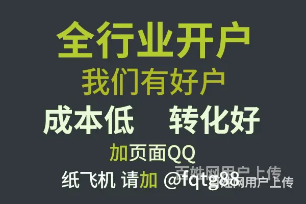 海外*tiktok做什么推广效果好网盟广告平台 - 图片 4